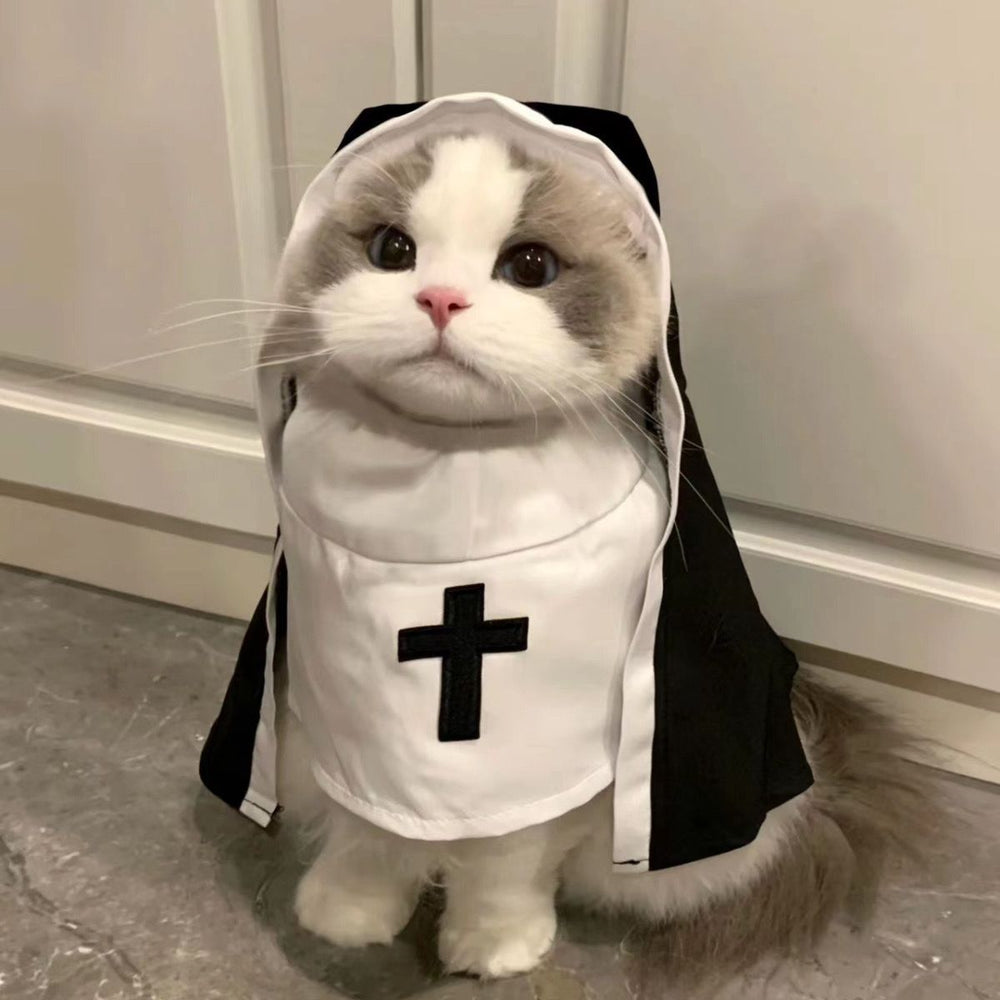 Cat wearing the Nun pet costume